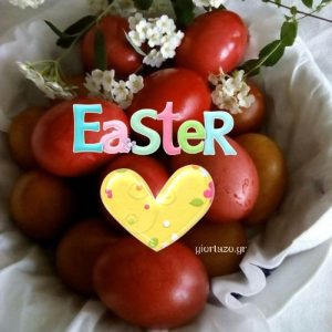 Read more about the article Happy Easter Pictures !!