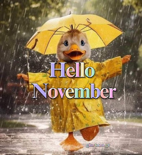 Read more about the article Hello November