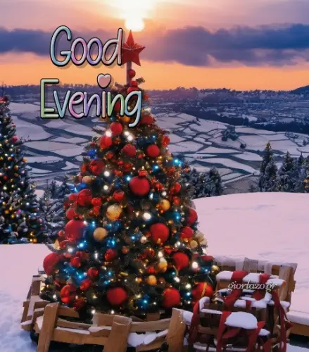 Read more about the article Pictures For Christmas Good Evening !!